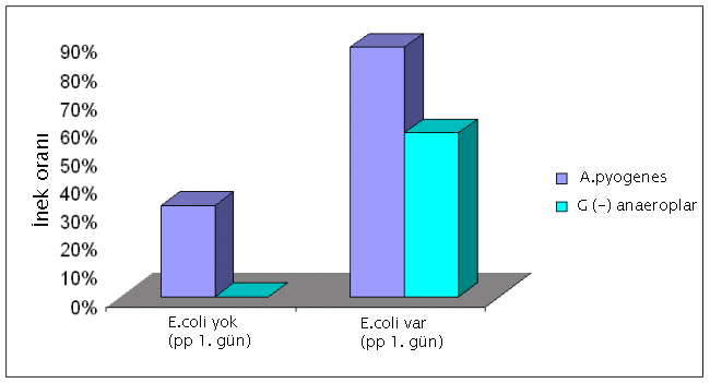 Plasentanin  Retansiyonu