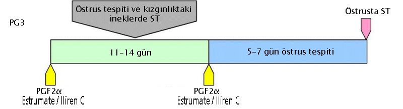 Double PG injection - AI detected heat