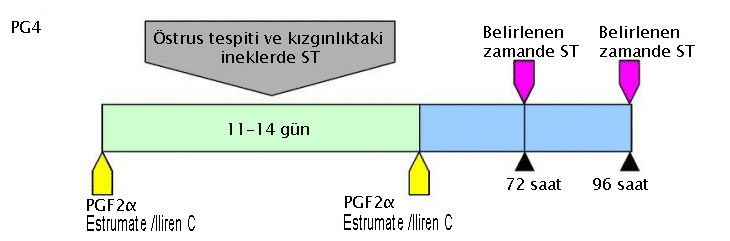 Double PG injection - AI fixed time