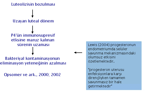 systemic influences